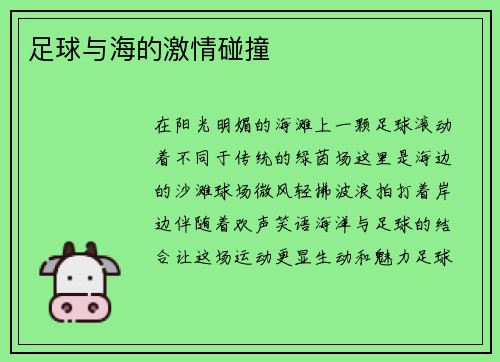 足球与海的激情碰撞