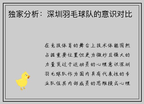 独家分析：深圳羽毛球队的意识对比